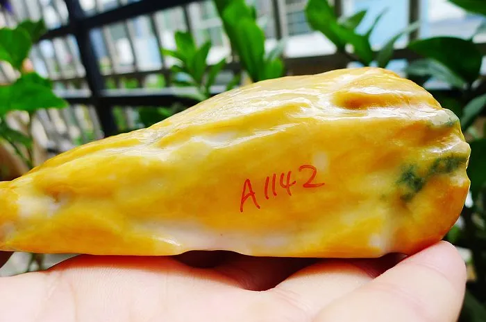 Natural Jade Rough Jadeite Raw (393g,12.6X4.8X3.5cm)