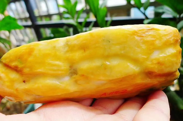 Natural Jade Rough Jadeite Raw (393g,12.6X4.8X3.5cm)