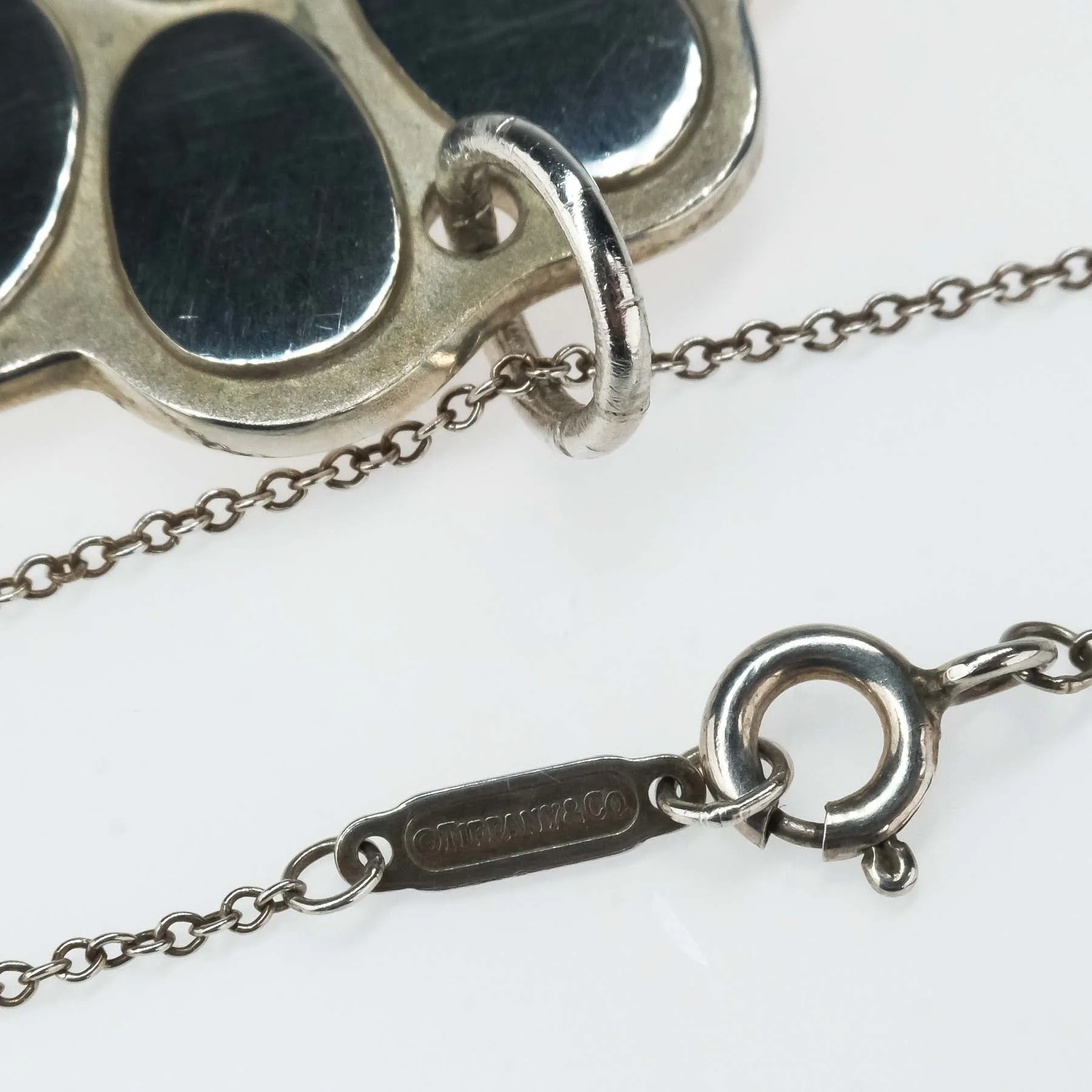 Tiffany & Co. Dog Paw Pendant Necklace in Sterling Silver